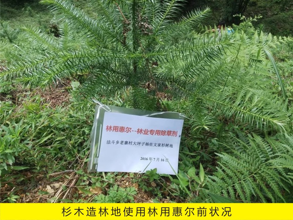 ����ʡ�ﮠ�hʹ�����ûݠ�����ɼľ�ֵ��s��